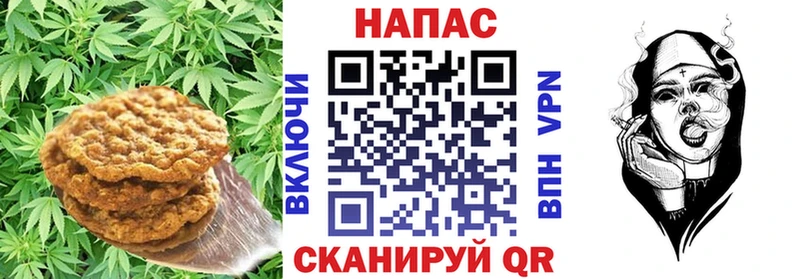 где продают   Щучье  Печенье с ТГК марихуана 