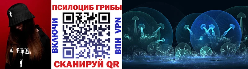 как найти   Щучье  Псилоцибиновые грибы мицелий 